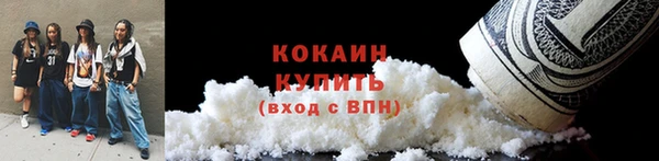 индика Козельск