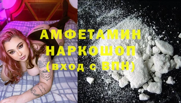 индика Козельск