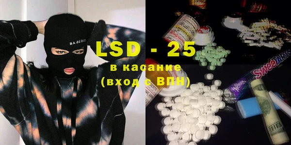 индика Козельск