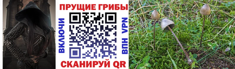 площадка наркотические препараты Абакан Галлюциногенные грибы мицелий